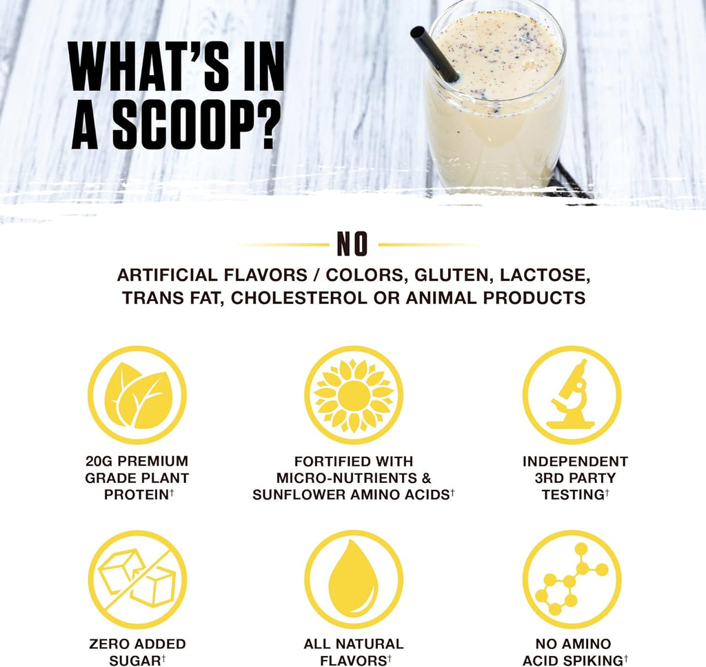Ambrosia Planta - Premium Organic Plant-Based Protein | Vegan & Keto Friendly | Gourmet Flavors with No Bloating or Stomach Upset | Gluten & Soy Free | No Added Sugar | 14 Servings | (Vanilla)