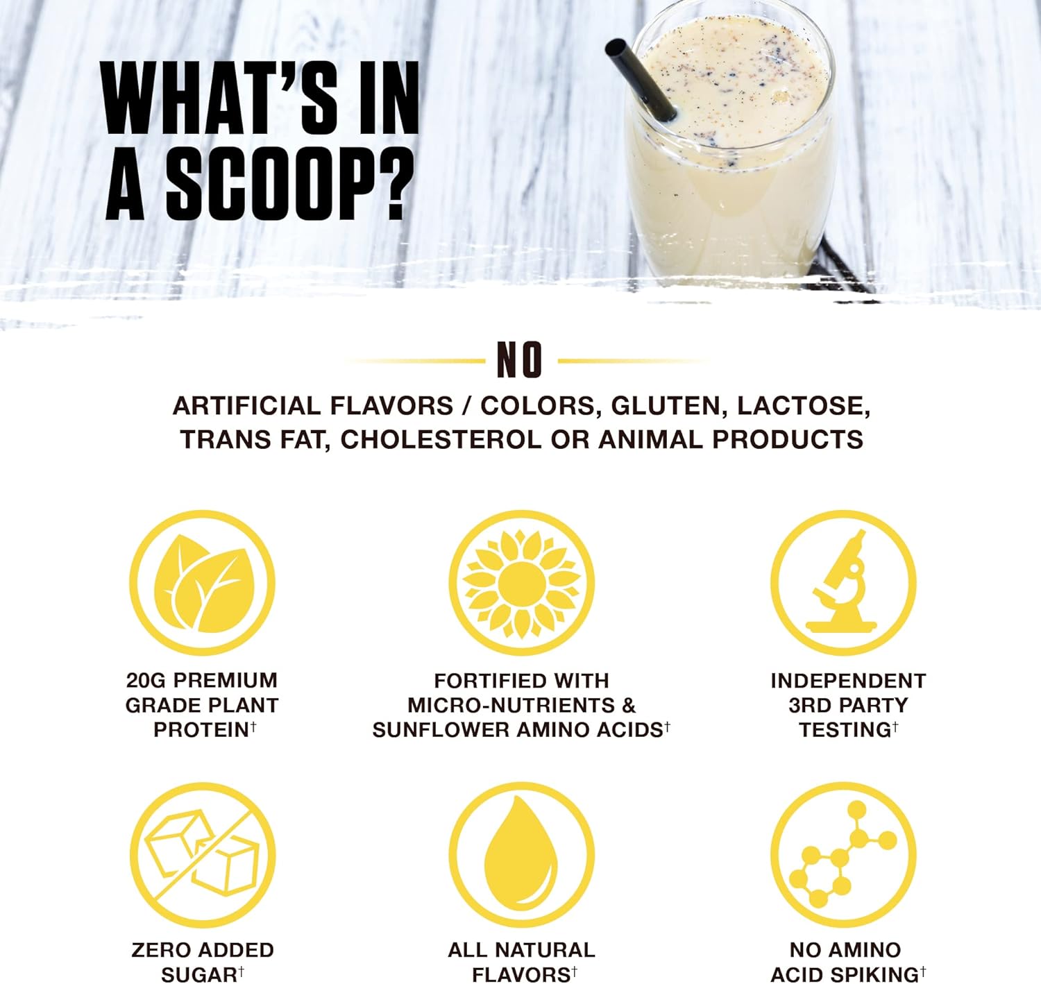 Ambrosia Planta - Premium Organic Plant-Based Protein | Vegan & Keto Friendly | Gourmet Flavors with No Bloating or Stomach Upset | Gluten & Soy Free | No Added Sugar | 14 Servings | (Vanilla)