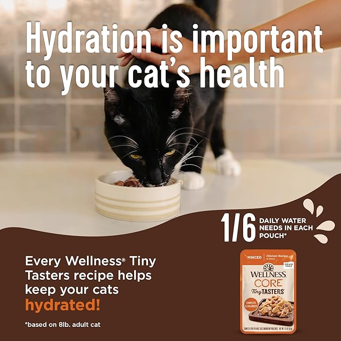 Wellness CORE Tiny Tasters Minced & Pate Kitten Wet Cat Food, Natural, Protein-Rich, Grain Free, 1.75-Ounce Pouch, 12 Pack, (Chicken Variety Pack)