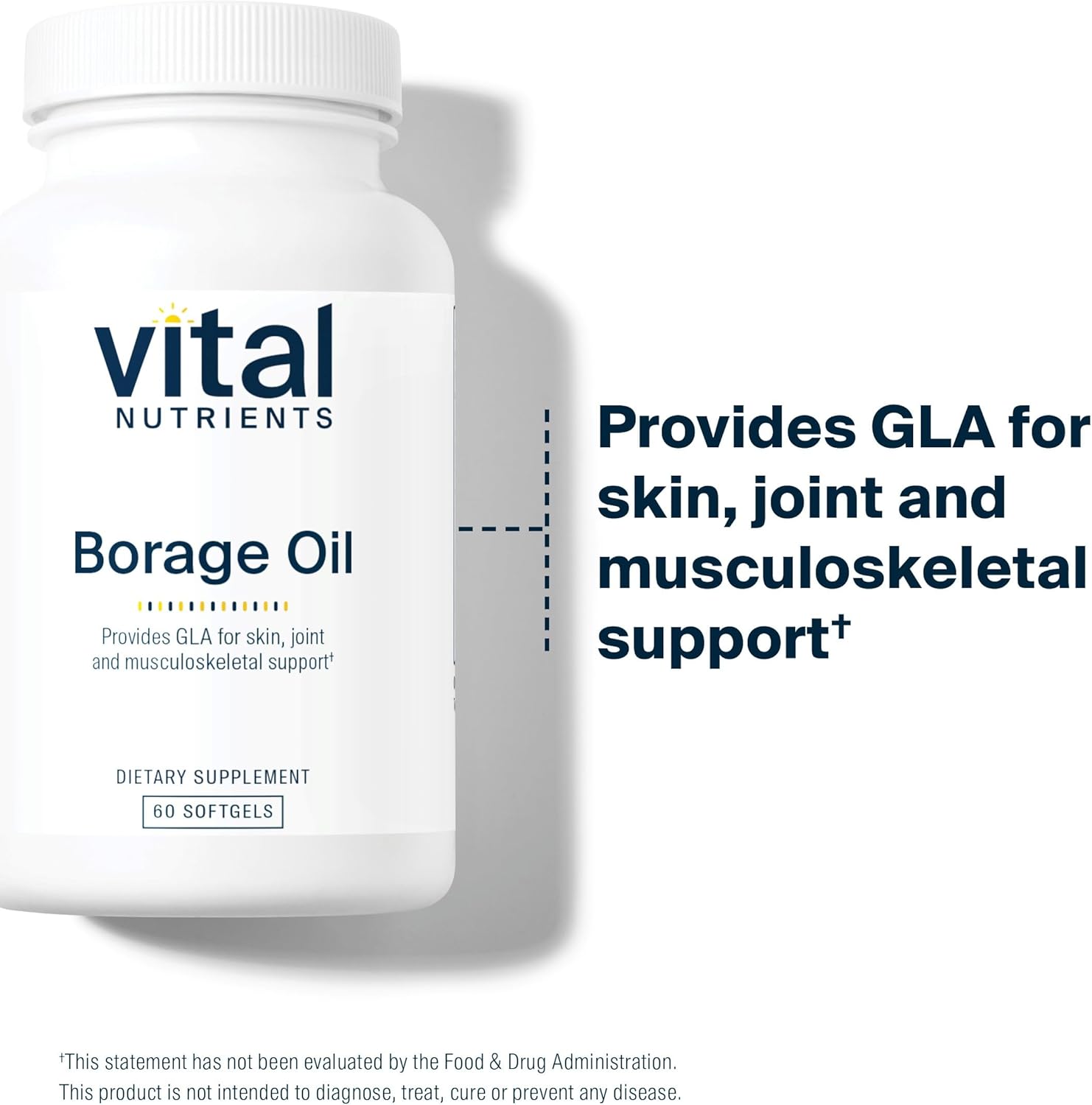 Vital Nutrients Borage Oil 1000mg | High-Dose GLA Omega-6 Supplement | Powerful Antioxidant for Skin, Join, Nerve Function | Gluten, Dairy, Soy Free | Non-GMO | 60 Softgels