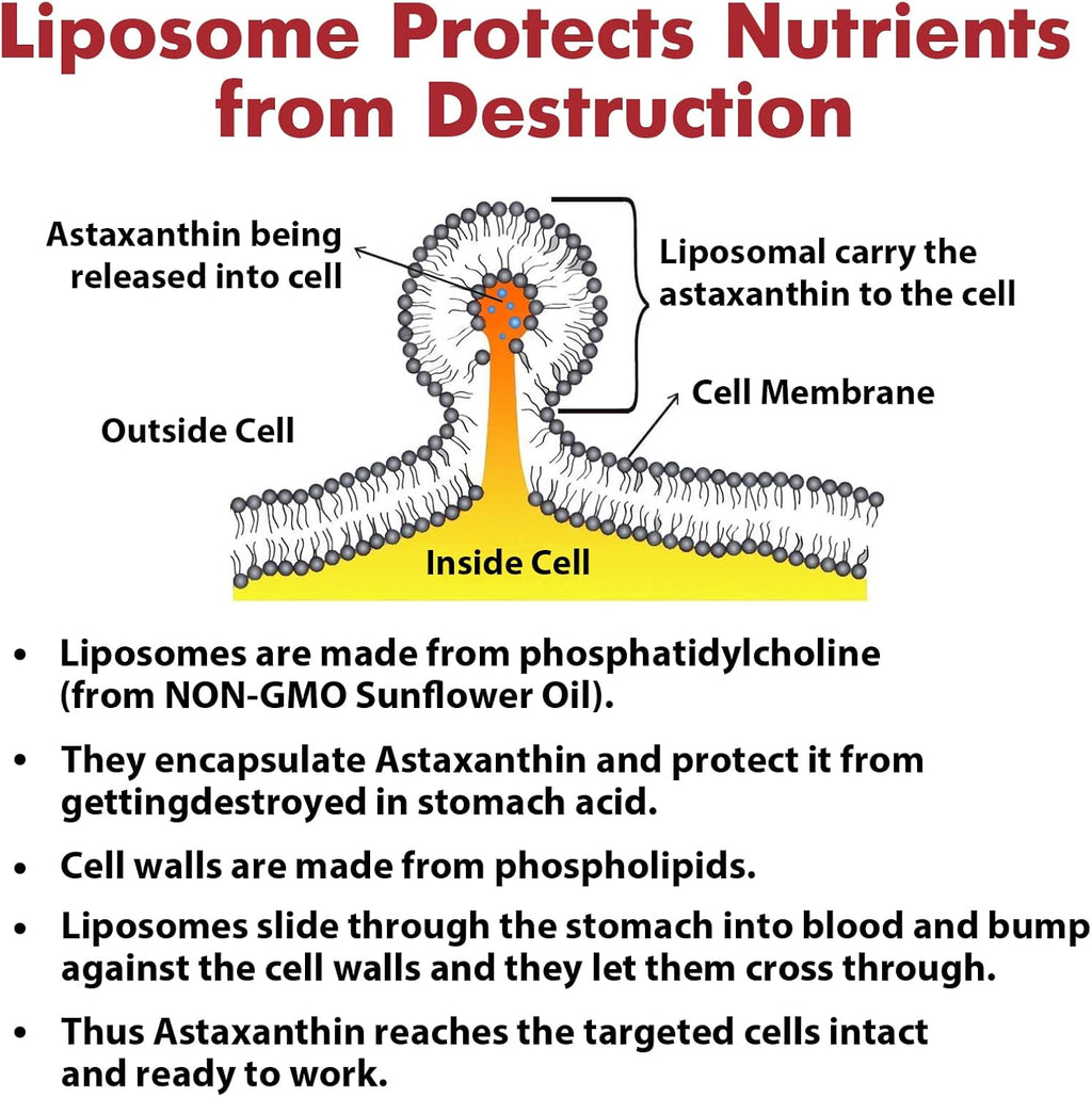 Liposomal Astaxanthin Supplement 24MG, Maximum Absorption, Antioxidant Stronger Than VIT C, Non-GMO & Gluten Free - 120 Softgels(4 Months Supply)