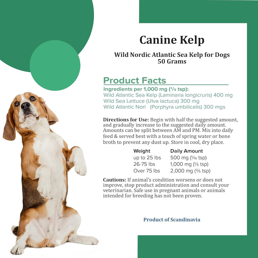 Canine Atlantic Sea Kelp for Dogs | All Natural Dog Food Topper for Digestive Health, Skin and Coat Health, and Immune Support | Rich in Vitamins, Minerals, and Calcium for Dogs (50g)