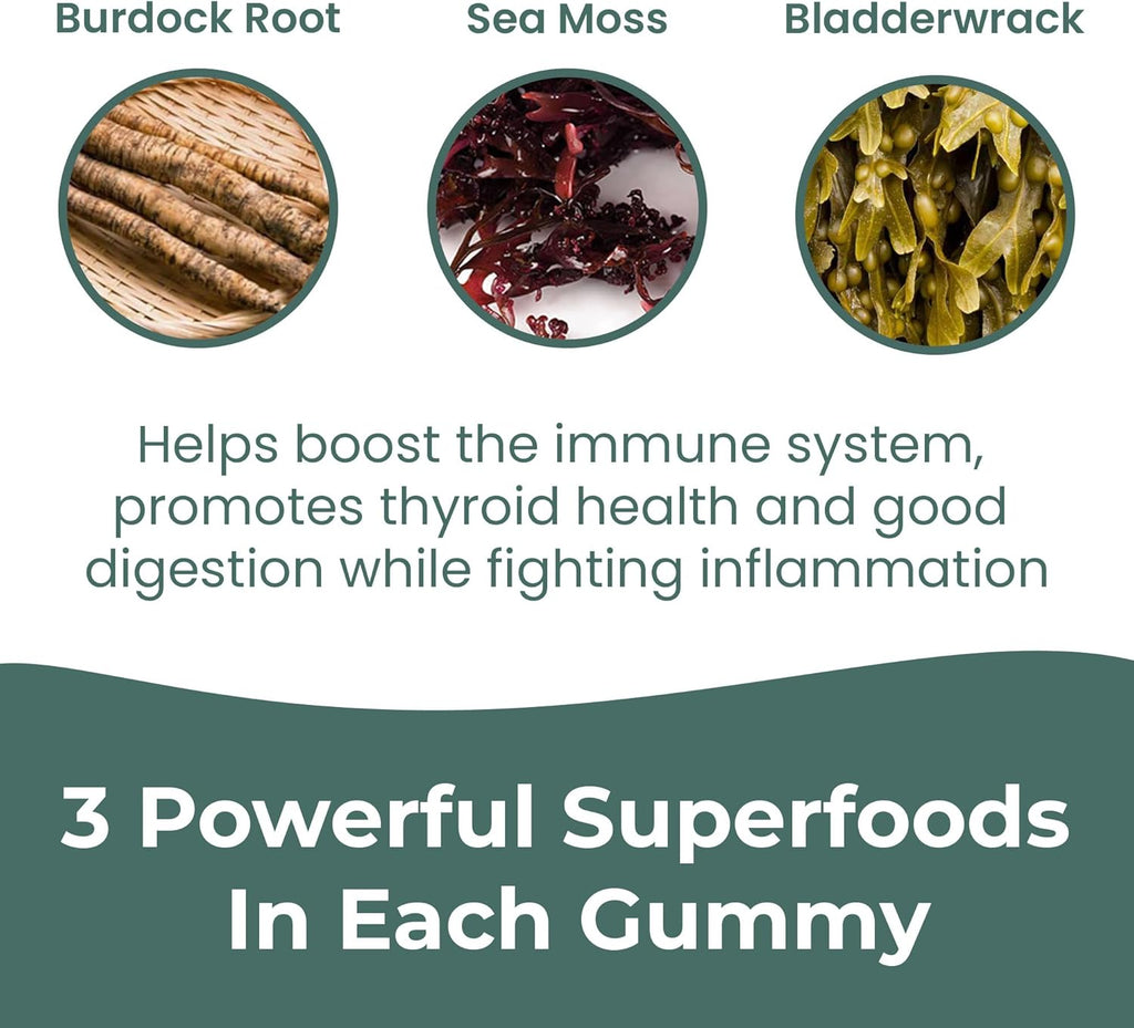 INFINITE AGE: Sea Moss Advanced Gummies, 60 Count - Delicious, Vegan, Made in USA - Irish Seamoss, Bladderwrack, Burdock Root - Overall Health, Immunity Support, Sea Moss Gummies for Women and Men