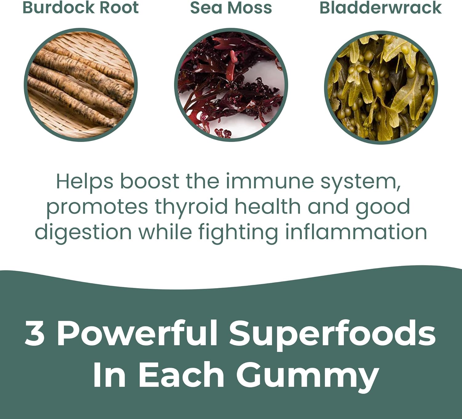 INFINITE AGE: Sea Moss Advanced Gummies, 60 Count - Delicious, Vegan, Made in USA - Irish Seamoss, Bladderwrack, Burdock Root - Overall Health, Immunity Support, Sea Moss Gummies for Women and Men