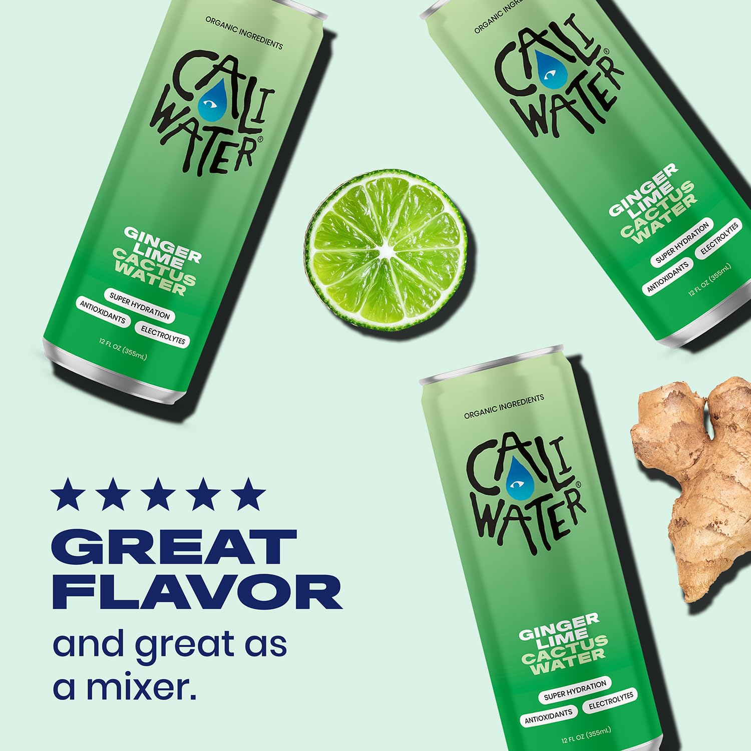 Caliwater - Organic Cactus Water - Ginger and Lime - 5g Sugar, 25 Calories - Coconut Water Alternative - Natural Plant Based Hydration - Skin Care, Electrolyte Drinks - Flavored Water - 12 Cans