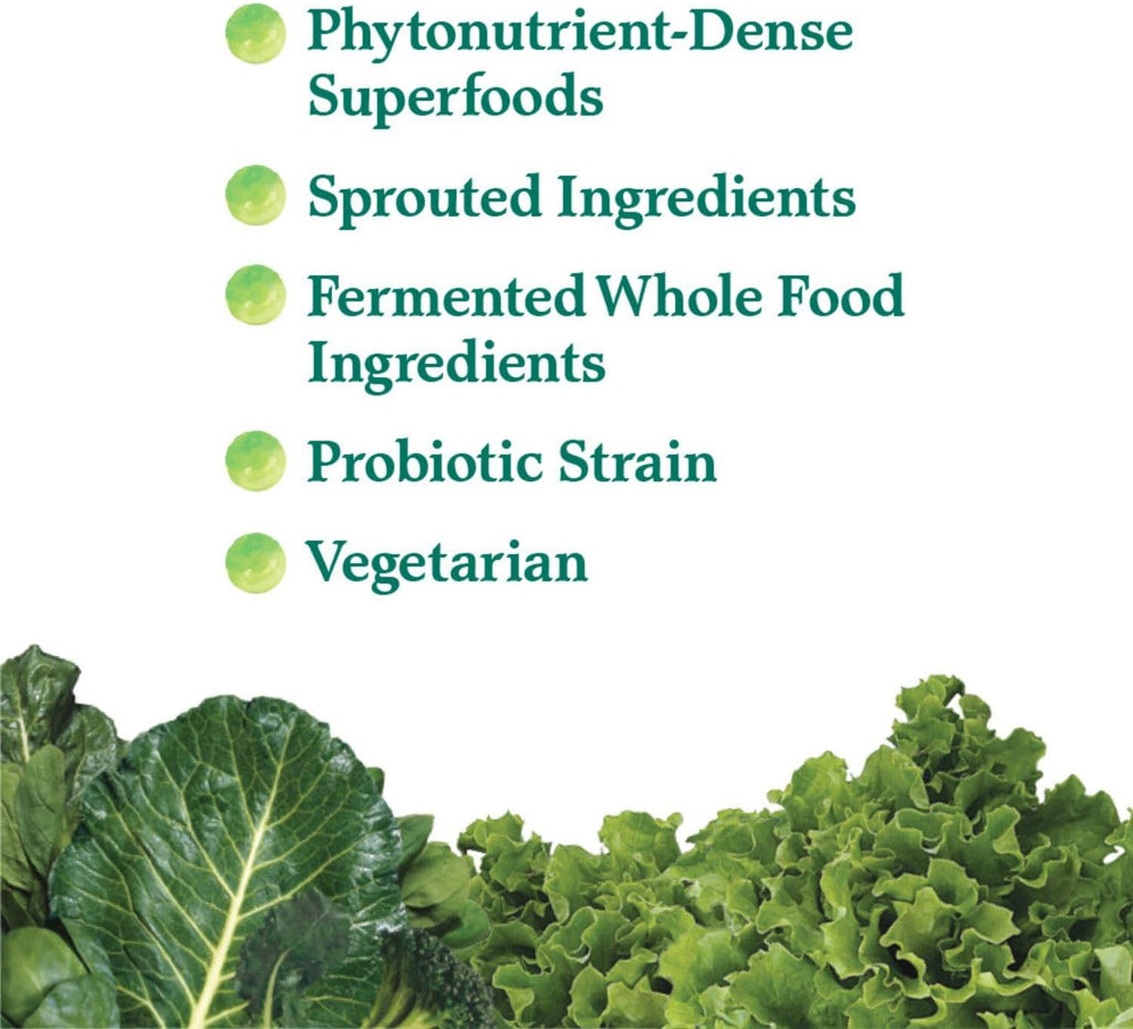 Garden of Life Perfect Food Super Green Formula - 60 Servings, 45 Superfoods, Greens, Fruit & Veggie Juice Superfood Powder Supplement, Probiotics & Organic Spirulina for Digestion & Immune Health