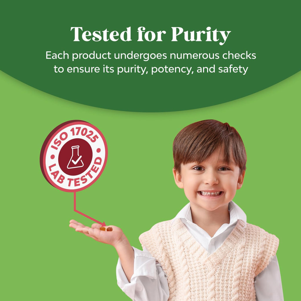 Plant Based Kids Multivitamin Gummies - Multivitamin for Kids Immunity Support Gummies with Vitamins A C D3 E B and Zinc Gelatin and Gluten Free Non-GMO Vitamins Gummy Formula 120ct