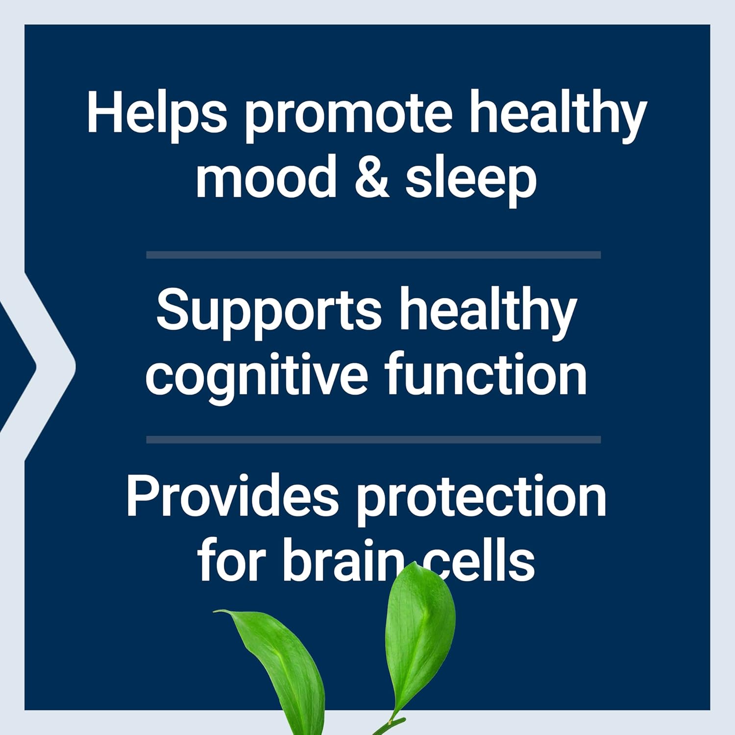 Life Extension D, L-Phenylalanine Capsules, 500 mg – Supports Mood Health, Promotes Neurotransmitter Health – Gluten-Free, Non-GMO, Vegetarian – 100 Capsules