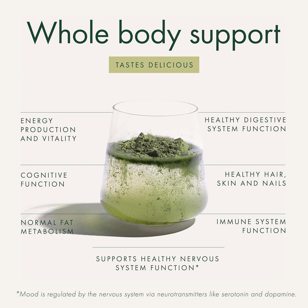 WelleCo The Super Elixir Daily Greens Powder, Probiotic Drink Mix with Whole Foods, Gluten Free, Vegan Gut Health Powder, Energy, Immunity, Healthy Skin, Hair & Nails (300g, Unflavored) Jar