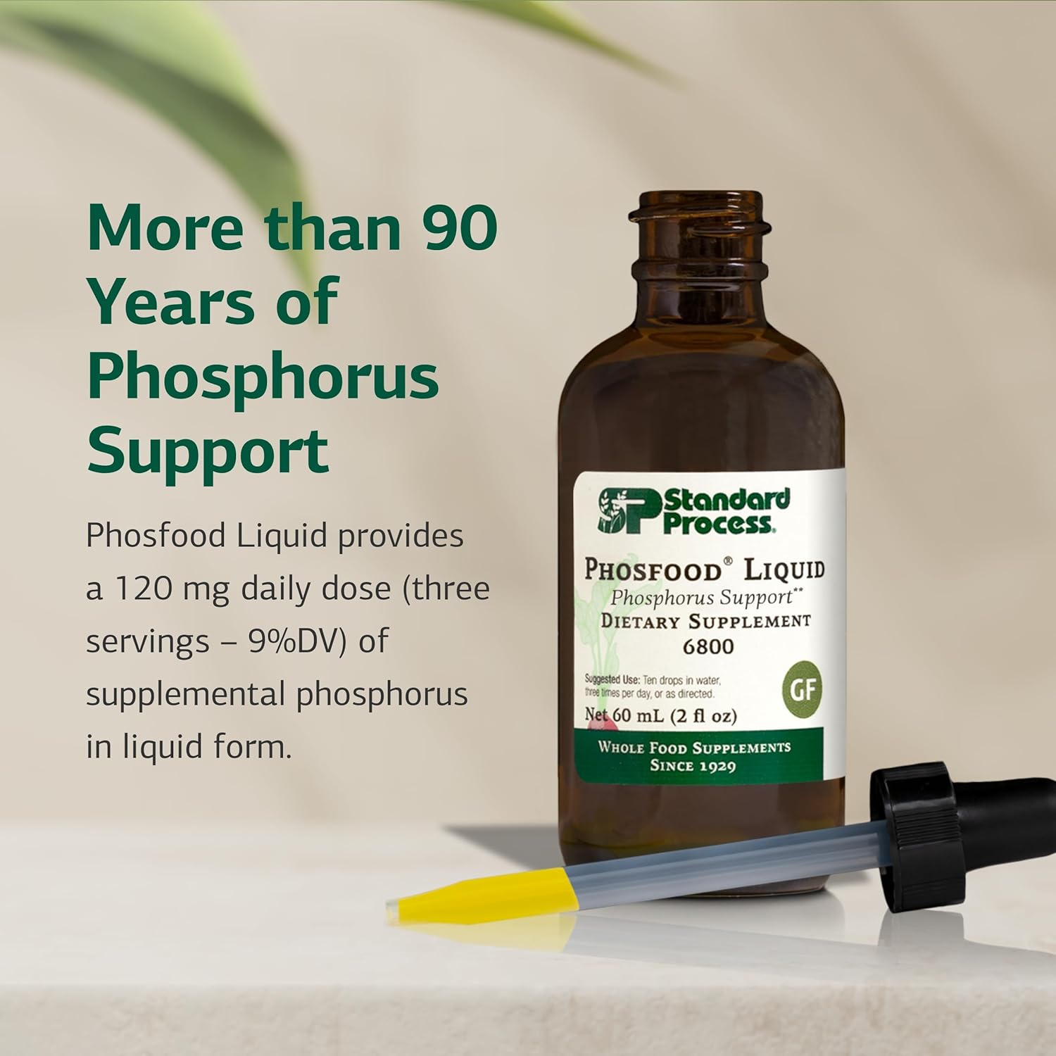 Standard Process Phosfood Liquid - Phosphorus Supplement for Nutritional Balance - Gluten-Free, Vegan & Non-Soy - 60 mL (2 fl oz)