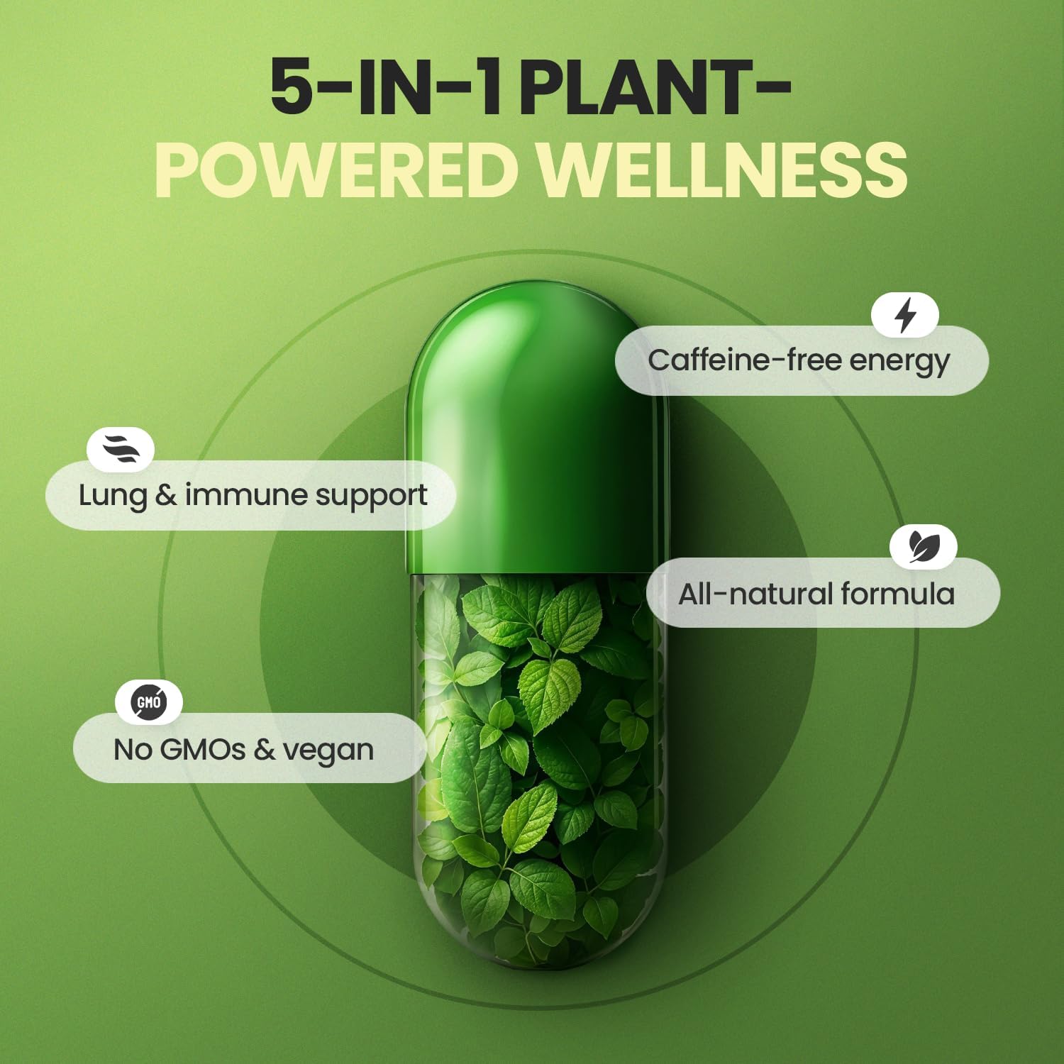 Moringa Capsules, Beet Root, Mullein Leaf - Energy, Skin, Immune Supplement Superfood, Rich in Antioxidants, Minerals & Essential Vitamins - High Absorption Non-GMO - Made in USA - 60ct