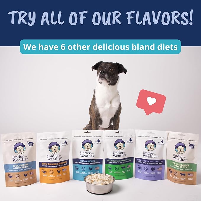 Under the Weather Bland Diet for Dogs | Easy to Digest for Sick Dogs |Always Be Ready| Contains Electrolytes - All Natural Freeze Dried 100% Human Grade Meats| 1 Pack- Rice Turkey & Sweet Potato - 6oz