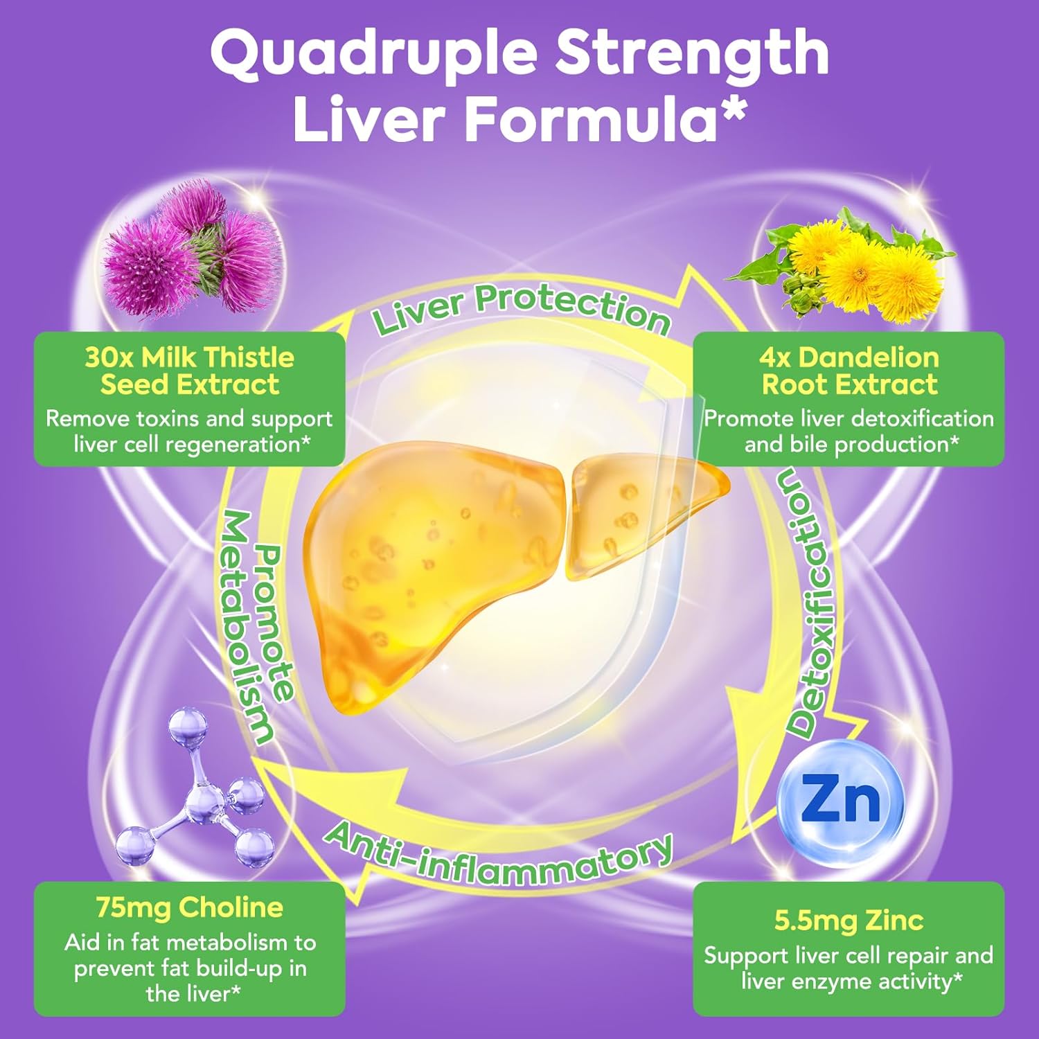 4-in-1 Milk Thistle Complex, 9000 mg Strength, 30X Concentrated Seed Extract, with Dandelion, Choline, Zinc, Fatty Liver Supplements, Liver Support, Non-GMO, 90 Veggie Caps, 3 Month Supply