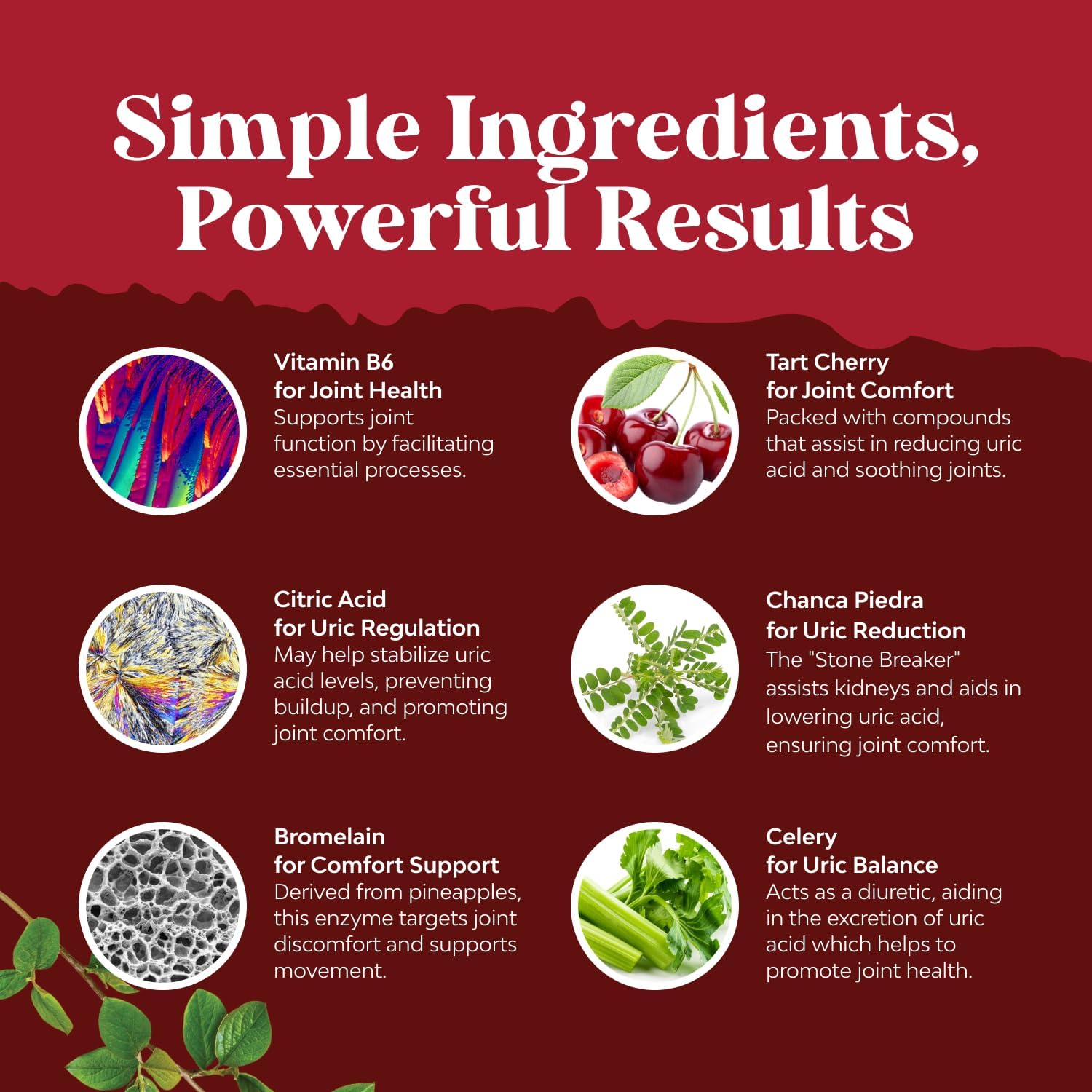 Bundle of Green Coffee Bean Extract for Uric Acid Cleanse & Detox and Multi Collagen Protein Powder for Women and Men