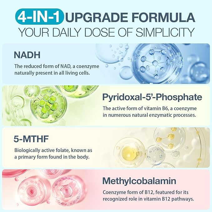 NADH Supplement with Methylated B Complex | High Absorption NAD+ Supplement Alternative for Women & Men | Cellular Energy and Mental Focus – 60 Veg Capsules
