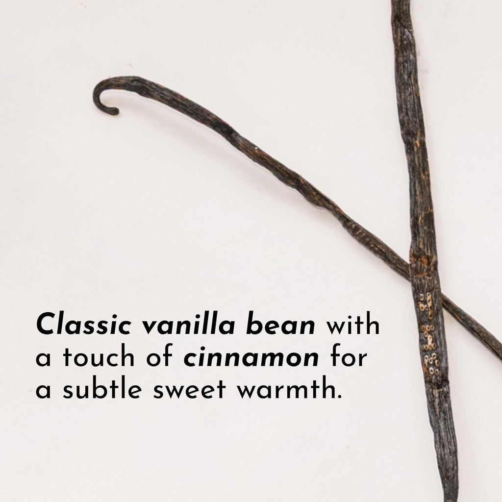 JUST INGREDIENTS Vanilla Bean Protein Powder – 20-Serving Blend with 100% Grass-Fed Whey & Organic Plant Proteins – Real Vanilla Bean & Cinnamon – Supports Muscle Recovery, Energy*