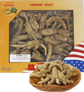 DOL Hand-Selected American Wisconsin Farmed Ginseng Root Medium&Large 美国威斯康辛州 长枝西洋参 花旗参 | Cultivated Wisconsin American Ginseng (Large 8oz/Box)