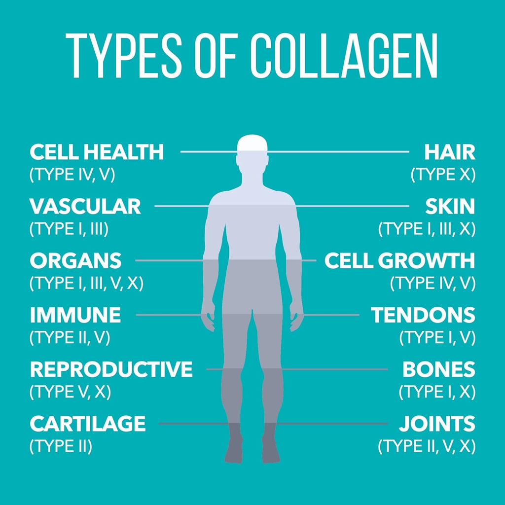 Natures Plus Collagen Peptides - 0.65 lbs Powder, Pack of 2 - Hair, Skin, Nail & Joint Health, Immune System Support - Non-GMO, Gluten Free - Up to 56 Total Servings
