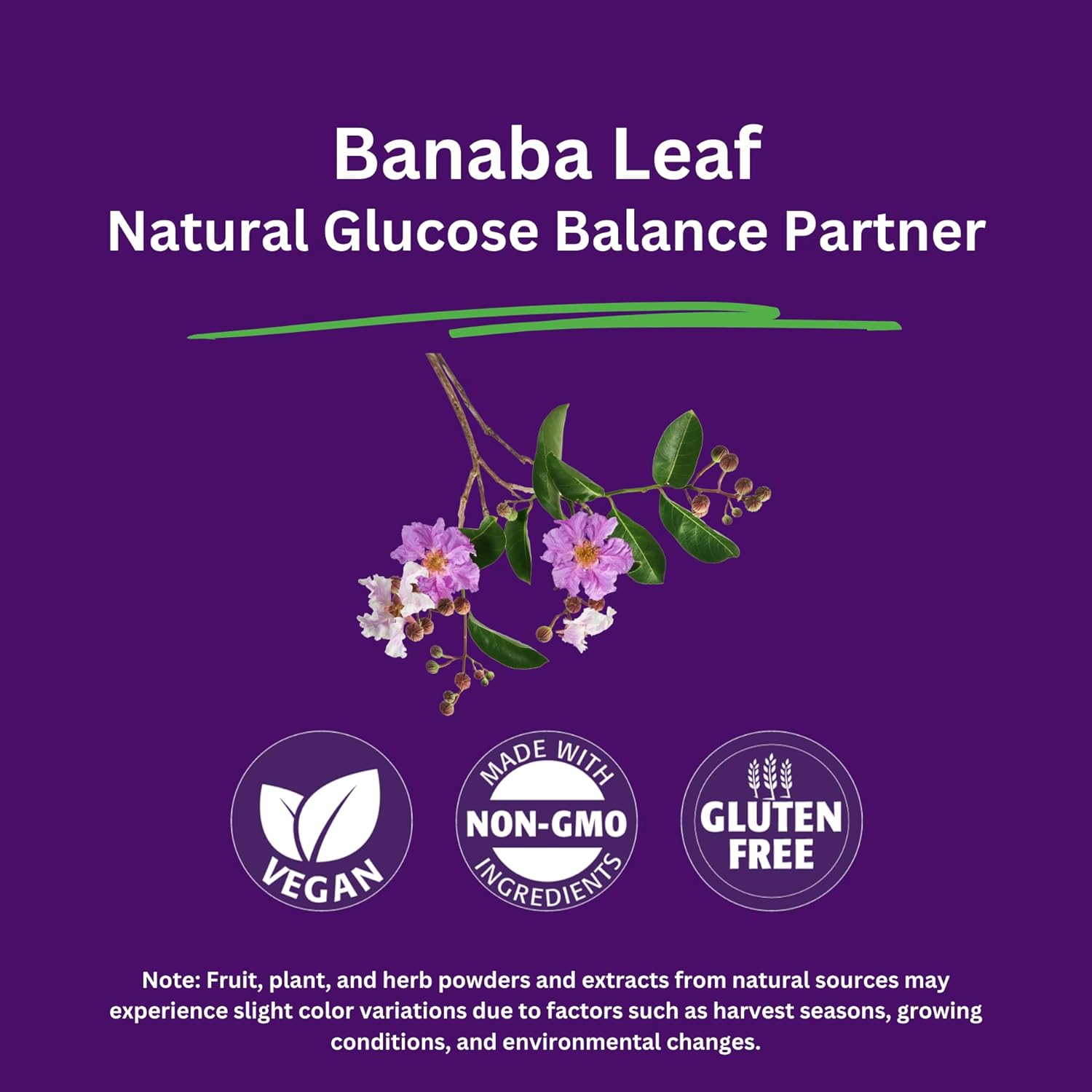 Paradise Herbs, Banaba Leaf, 12:1 Concentrated Extract, 250 mg, Vegan, Gluten-Free, Non-GMO, 60 Capsules