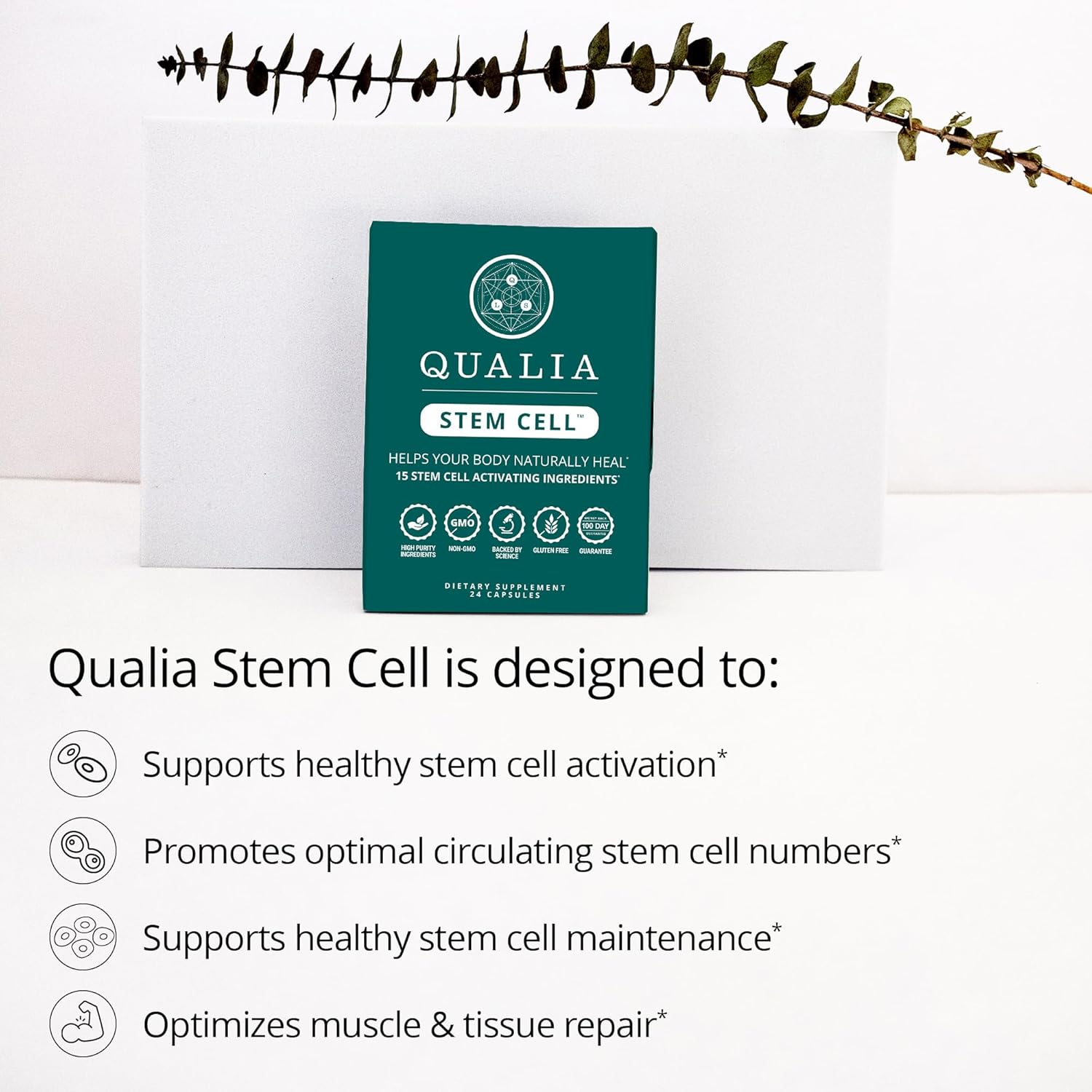 Qualia Stem Cell — Stem Cell Supplement Support with Royal Jelly, Astragalus & Sea Buckthorn | 16 Ingredients | 4 Days a Month | Helps Body Naturally heal*