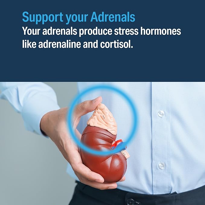 Advanced Bionutritionals Advanced Adrenal Factor – Adrenal Support Supplement – Non-GMO, Gluten-Free, Vegan – 120 Tablets