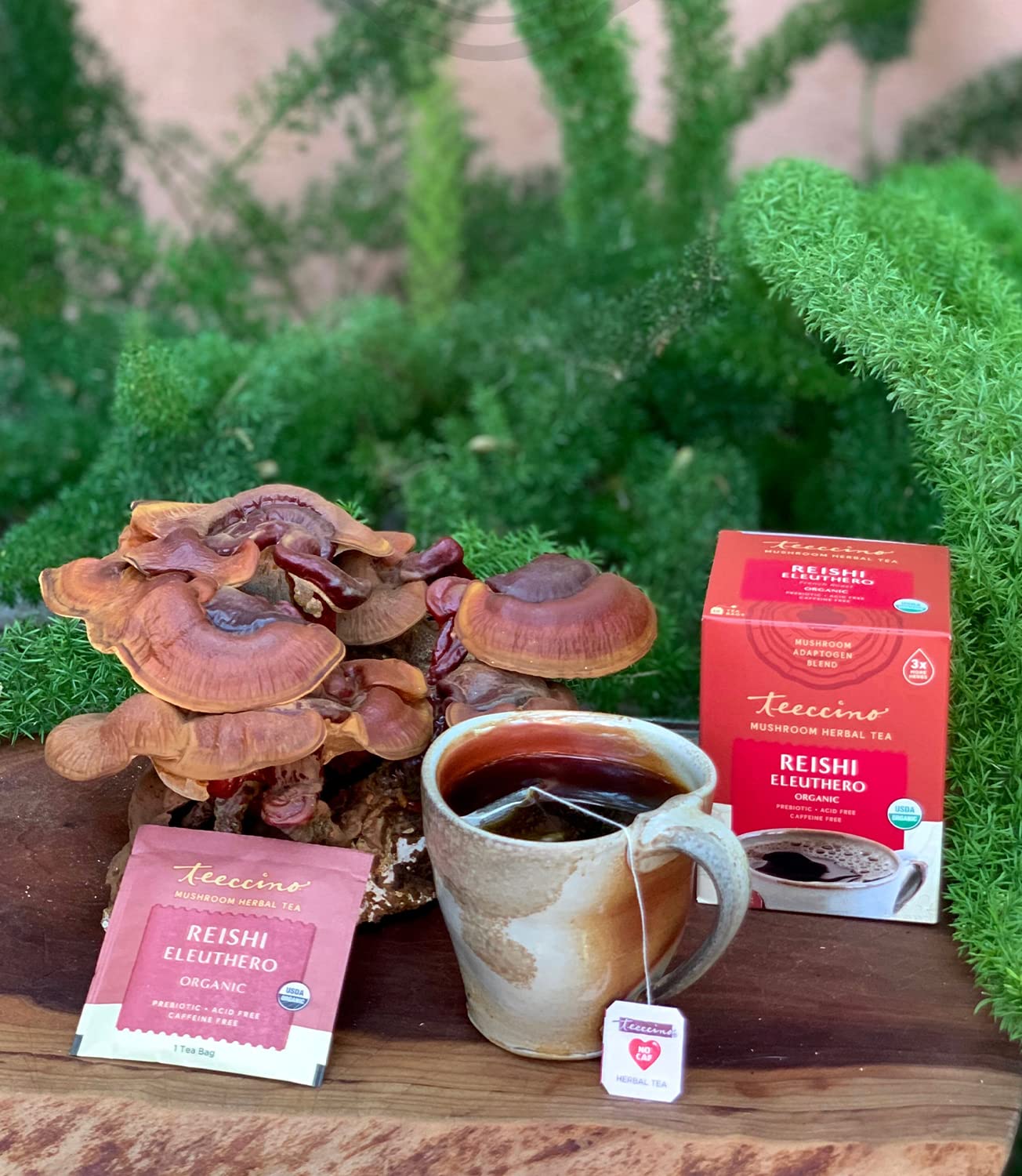 Teeccino Reishi Eleuthero Tea - French Roast - Organic Mushroom Adaptogenic Herbal Tea, 3x More Herbs than Regular Tea Bags, Caffeine Free, Chicory Prebiotic - 10 Tea Bags