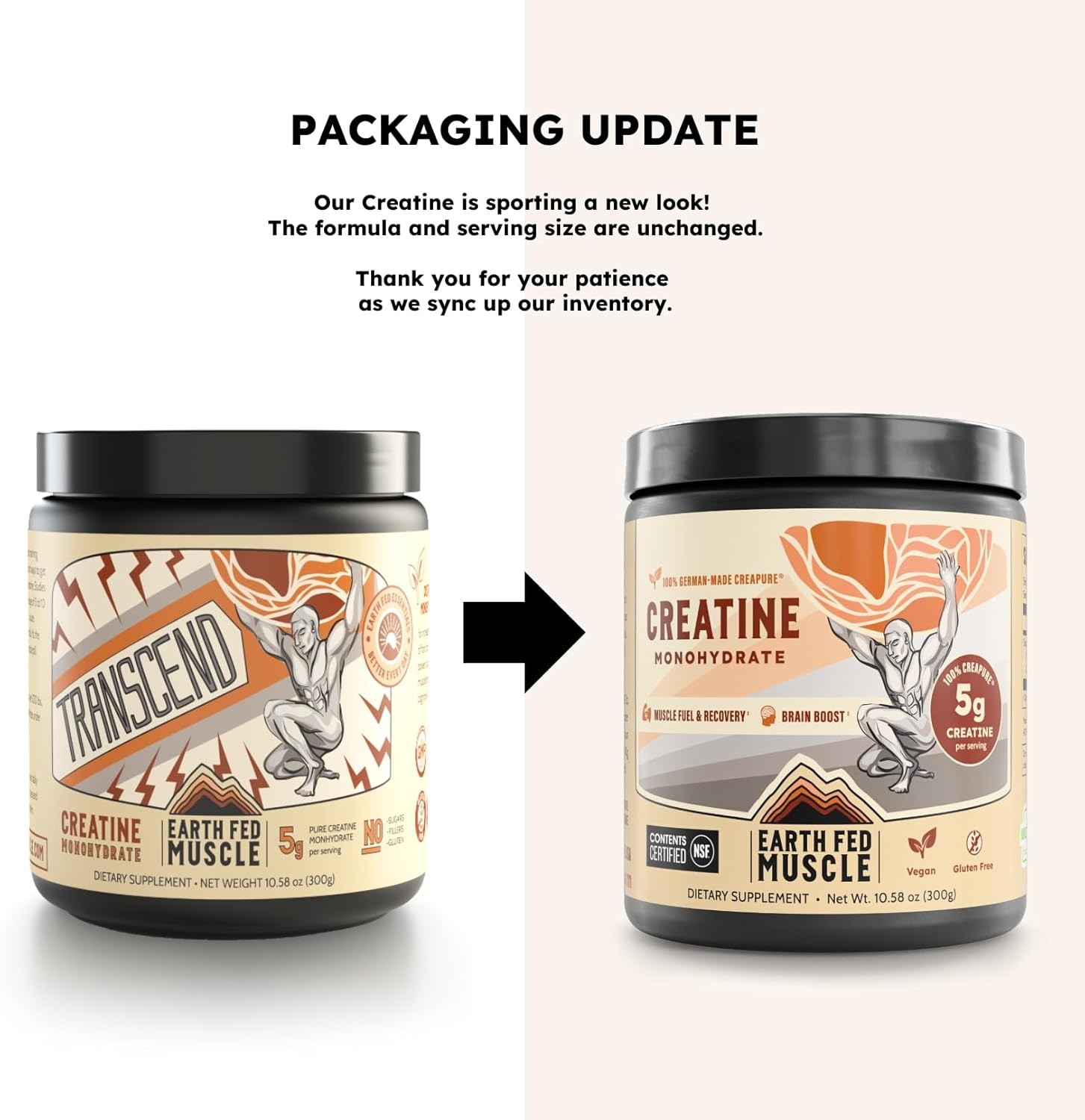 Earth Fed Muscle Transcend Creatine Monohydrate Powder – 100% German Creapure Creatine for Women | Muscle Recovery & Building, Energy Production | Unflavored 5g Serving, 60 Servings per Container