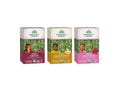 Organic India Iced Tulsi Tea Bags Variety Pack - Assorted Tea, Holy Basil, Hibiscus, Lemon Ginger, Sweet Rose - Adaptogen, Vegan, USDA Certified Organic, Non-GMO - 18 Infusion Bags per Box (Pack of 3)