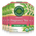 Traditional Medicinals Tea, Organic Pregnancy Tea, Supports a Healthy Pregnancy, Raspberry Leaf, Kosher, Non-GMO, Caffeine-Free, Compostable - 96 Tea Bags (6 Pack)