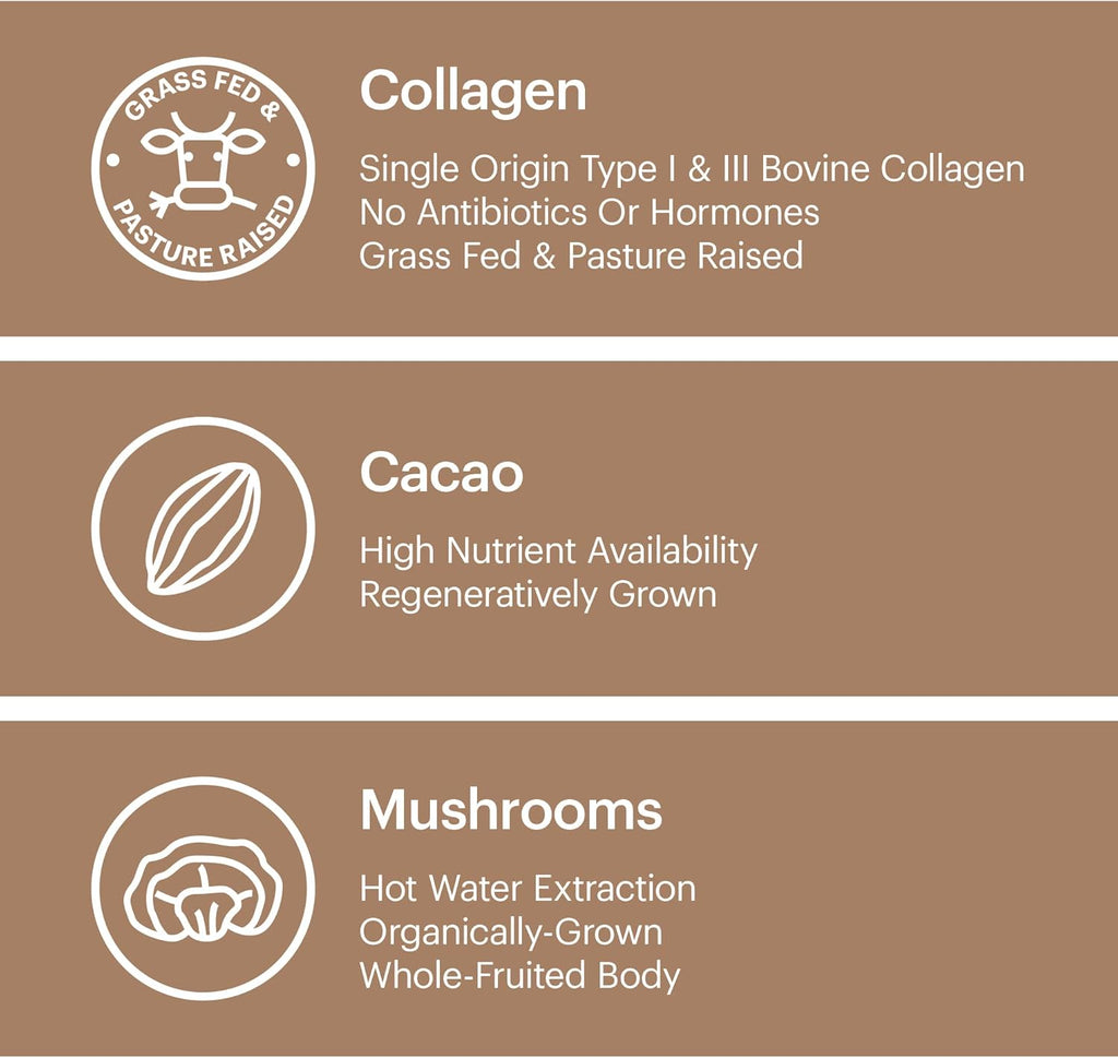 Wellthy Collagen Superfood Powder, Fights Stress & Fatigue, Cacao, Mushroom Powder - Organic Chaga & Reishi Extracts, Certified Organic Matcha, Allergen-Free & Non-GMO