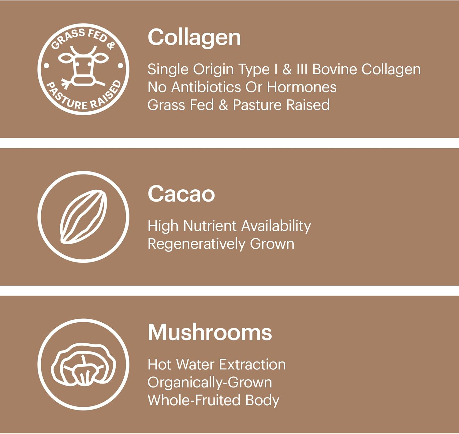 Wellthy Collagen Superfood Powder, Fights Stress & Fatigue, Cacao, Mushroom Powder - Organic Chaga & Reishi Extracts, Certified Organic Matcha, Allergen-Free & Non-GMO