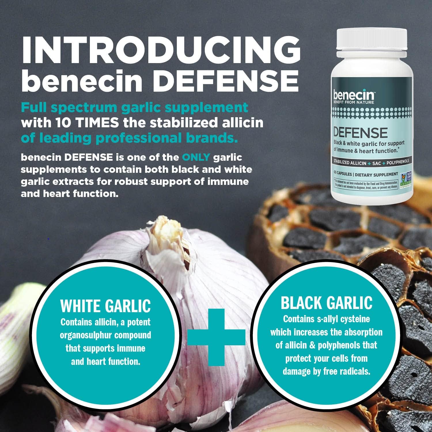 Benecin Defense 1500 mcg Stabilized Allicin per Capsule | Plus high Amounts of SAC & Polyphenols from Black Garlic | Powerful Support of Immune & Heart Function Vegetarian Caps (1 Count (Pack of 60))