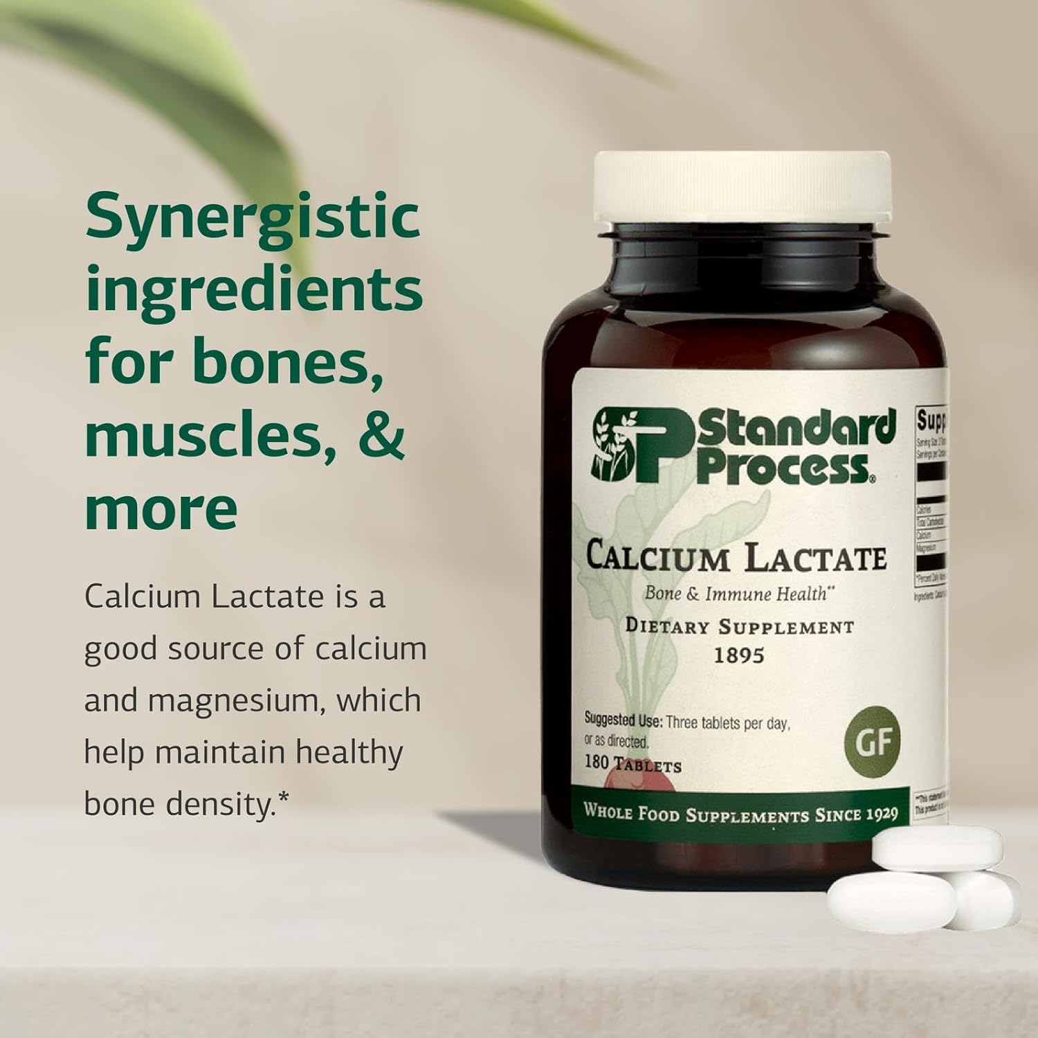 Standard Process Inc. Calcium Lactate - Immune Support and Bone Strength - Bone Health and Muscle Supplement with Magnesium and Calcium - 180 Tablets