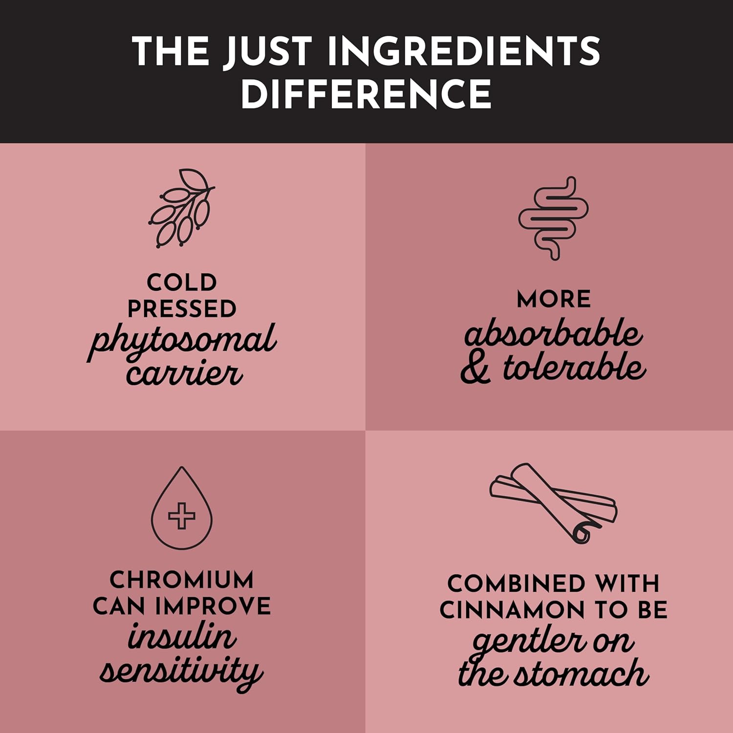 JUST INGREDIENTS Berberine Supplement – 30-Capsule Herbal Support Formula with Organic Berberis Aristata – Traditionally Used for Metabolic Health, Cellular Function & Overall Wellness.