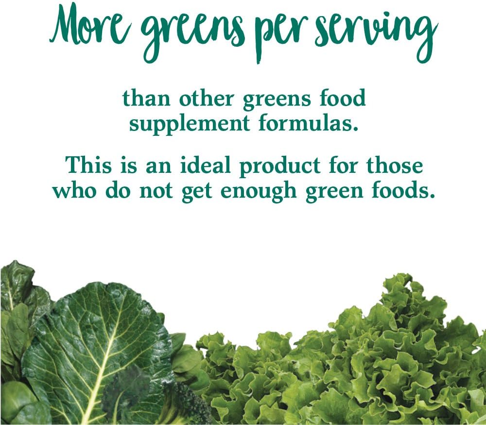 Garden of Life Perfect Food Super Green Formula - 30 Servings, 45 Superfoods, Greens, Fruit and Veggie Juice Superfood Powder Supplement, Probiotics, Organic Spirulina for Digestion and Immune Health