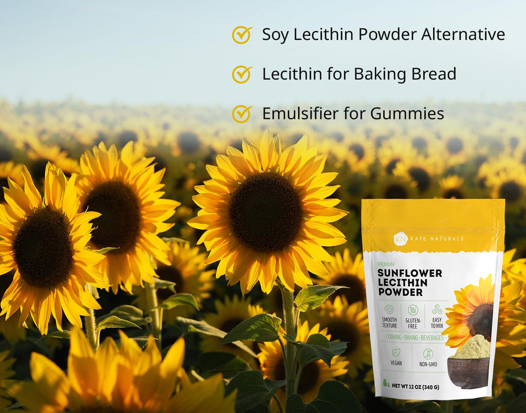 Kate Naturals Sunflower Lecithin Powder for Baking Bread, Gummies, Cooking. Substitute for Soy Lecithin Powder (12 oz, Non-GMO)