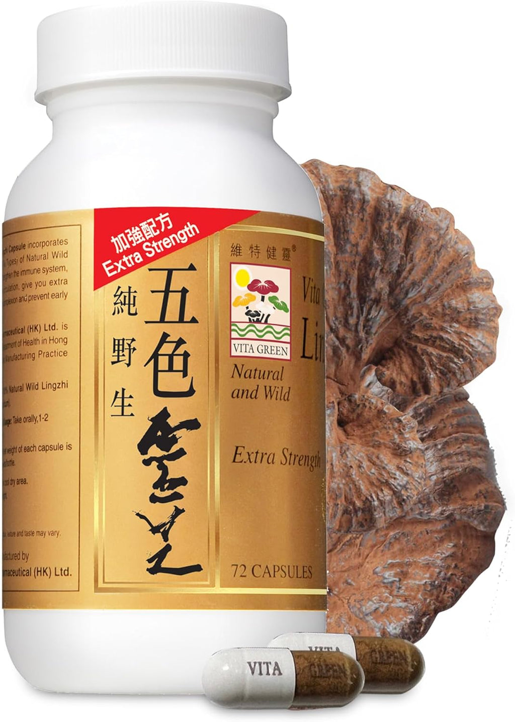 Vita Green Lingzhi Mushroom Capsules (五色靈芝) – Pure Reishi Supplement with Natural Antioxidants for Wellness, Energy, and Immune Support – 72 Capsules