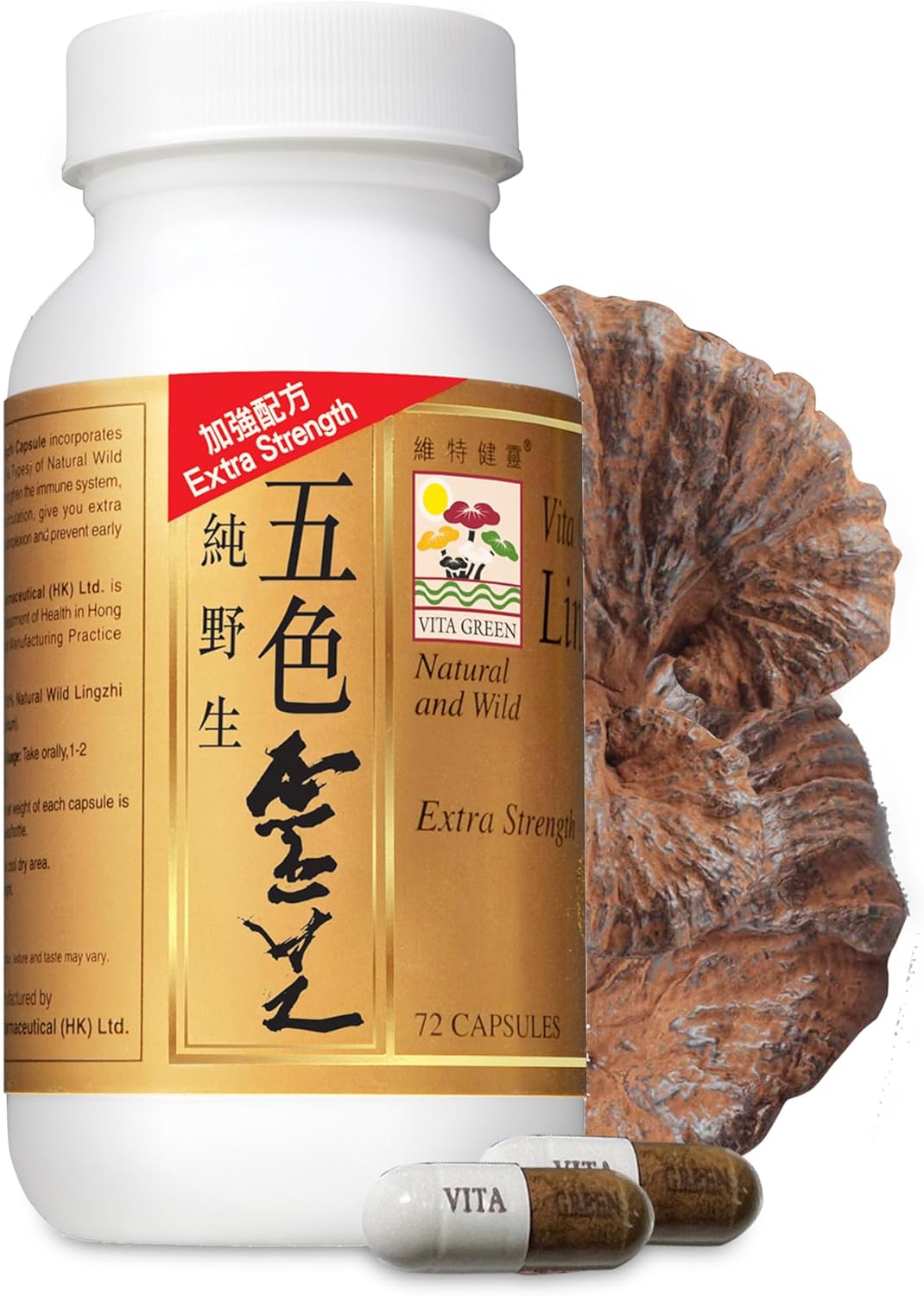 Vita Green Lingzhi Mushroom Capsules (五色靈芝) – Pure Reishi Supplement with Natural Antioxidants for Wellness, Energy, and Immune Support – 72 Capsules