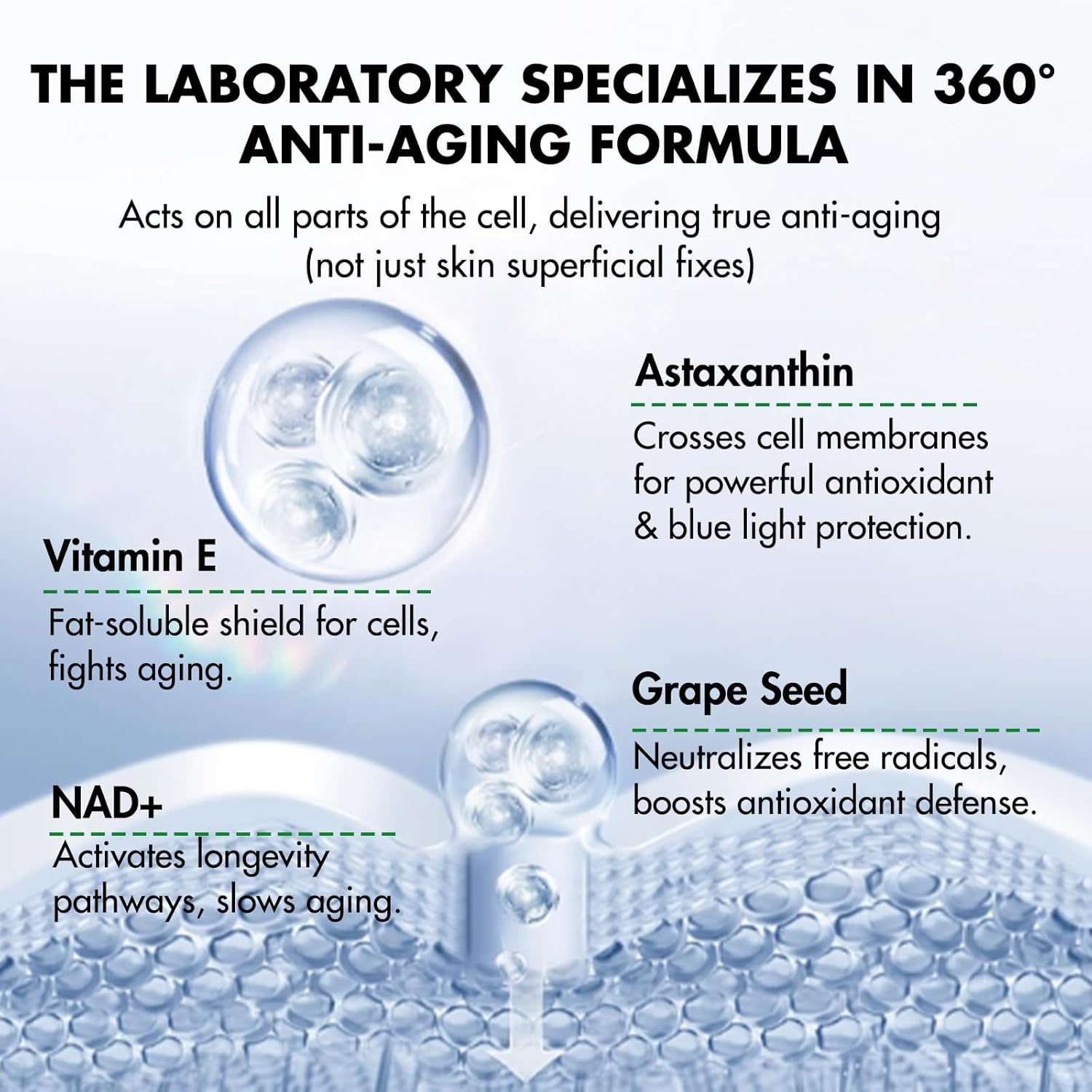 NAD+ Supplement 300mg, Liposomal NAD Boost with PQQ, Astaxanthin, Folic Acid, Vitamin E, High Purity NAD Supplement for Anti-Aging, Cell Longevity, Energy Metabolism - 60 Capsules