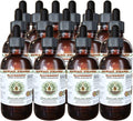 BlackBerry Alcohol-Free Liquid Extract, BlackBerry (Rubus Armeniacus) Root Glycerite Hawaii Pharm Natural Herbal Supplement 15x4 oz