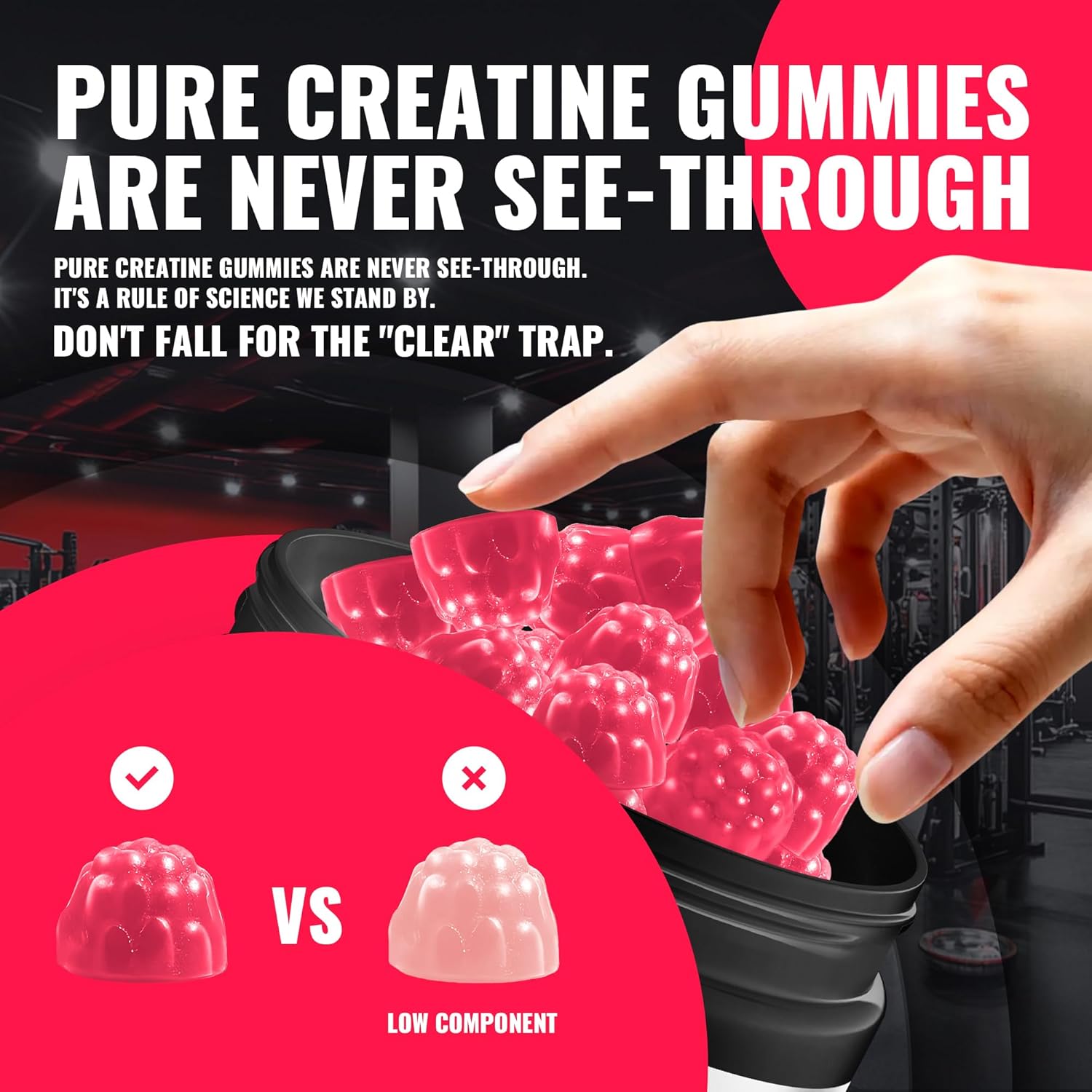 Natures Aid Creatine Monohydrate Gummies (5g) – Pre-Workout Energy & Muscle Growth Support for Men & Women | Watermelon Electrolyte Gummies (135 Count)
