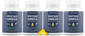 Physio Omega 2400mg Fish Oil with Omega 3 Fatty Acid Supplement - Vascular & Cognitive Supplements for Adults - Non-GMO, Burpless, Light Citrus Flavor, Sustainably Sourced - 4 Packs, 240 Softgels