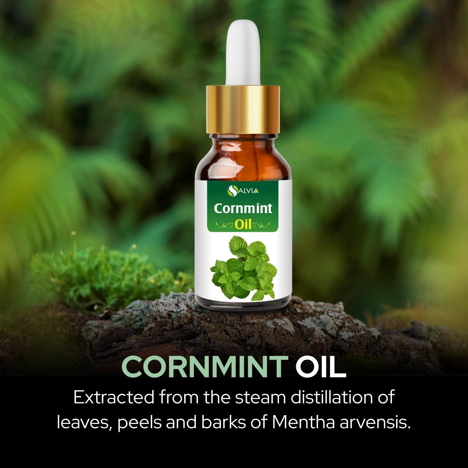 Salvia Cornmint (Mentha arvensis) Oil - 100ml/3.38Fl Oz with Dropper