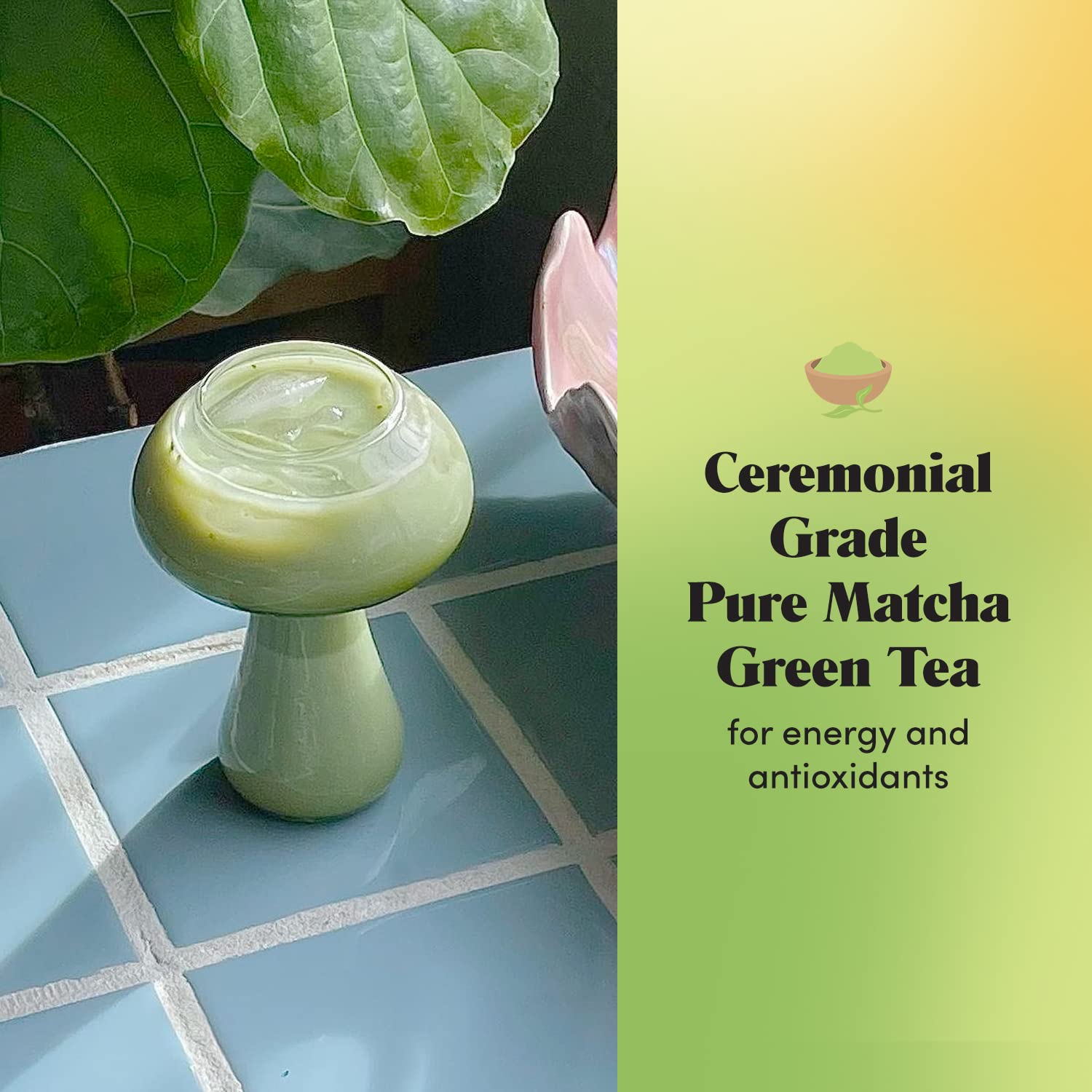 GOLDE - Pure Matcha - Ceremonial Grade Matcha Powder - Green Tea Superfood w/L-Theanine & Antioxidants - 60mg Caffeine - Jitter Free Energy - 40g Tin