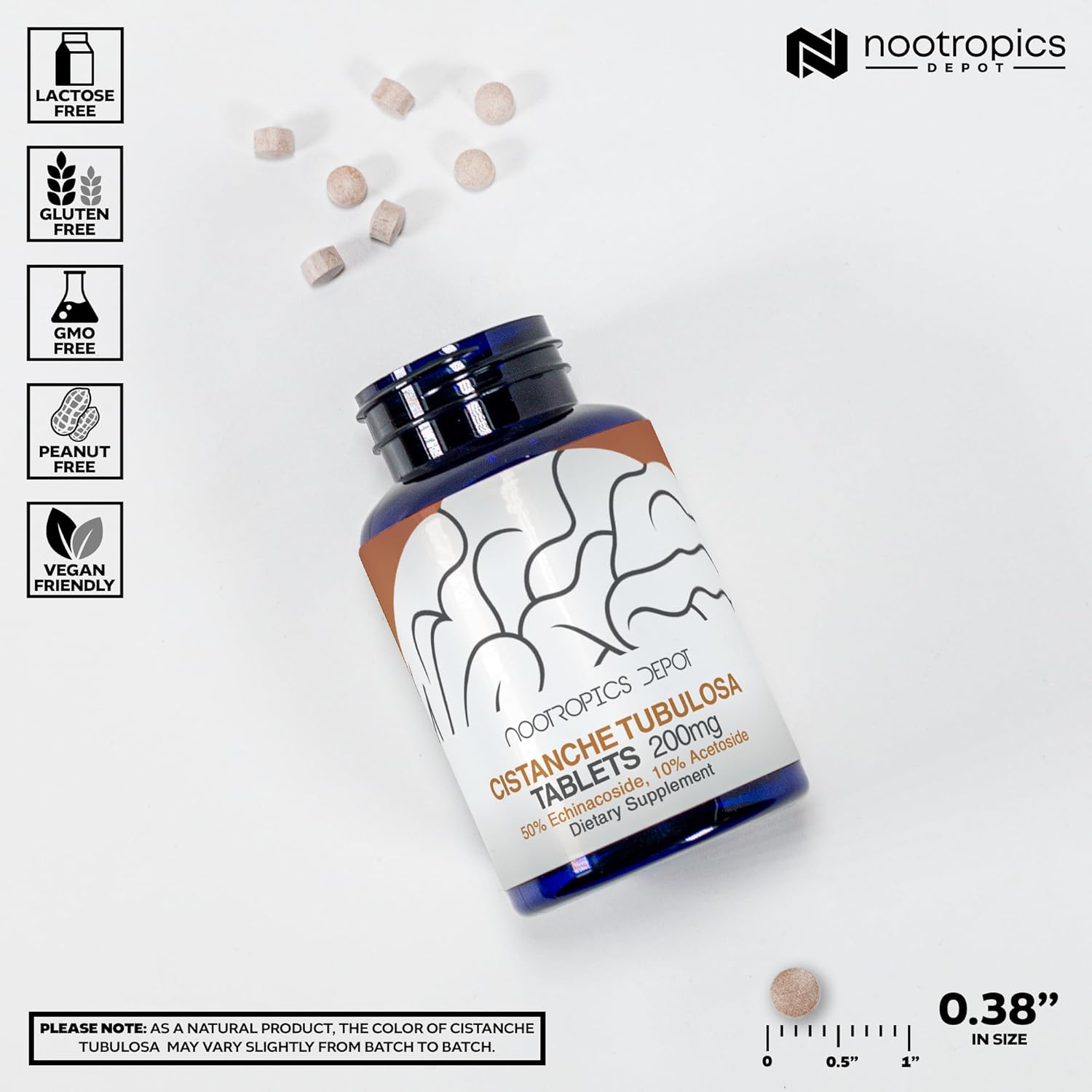 Nootropics Depot Cistanche tubulosa Tablets | 200mg | 180 Count | Minimum 50% Echinacoside + 10% Acetoside (Verbascoside) | Promotes Physical Strength and Energy | Promotes Vitality