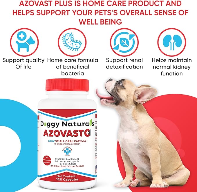 Azovast Plus Kidney Health Supplement for Dogs & Cats, 720ct - NO Refrigeration Required - Help Support Kidney Function & Manage Renal Toxins - Renal Care Supplement Capsule(U.S.A)(720 Caps)