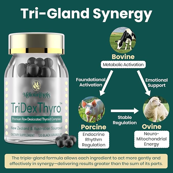 Thyroid Supplement – TriDexThyro™ Raw Desiccated Thyroid Complex 375 mg with Bovine, Porcine & Ovine –120 Capsules for Women and Men（2 Pack）