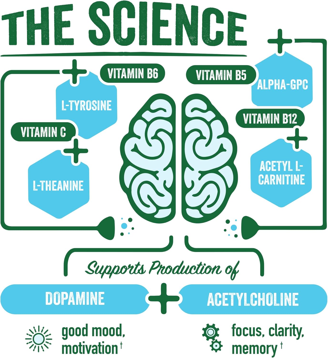 BrainJuice Decaf Brain Support Shot, Gluten Free Supplement Shots for Energy & Focus, Healthy Drinks with Alpha GPC, Vitamin B & Decaffeinated Green Tea Leaf, Peach Mango, 2.5 fl oz, 12 Pack