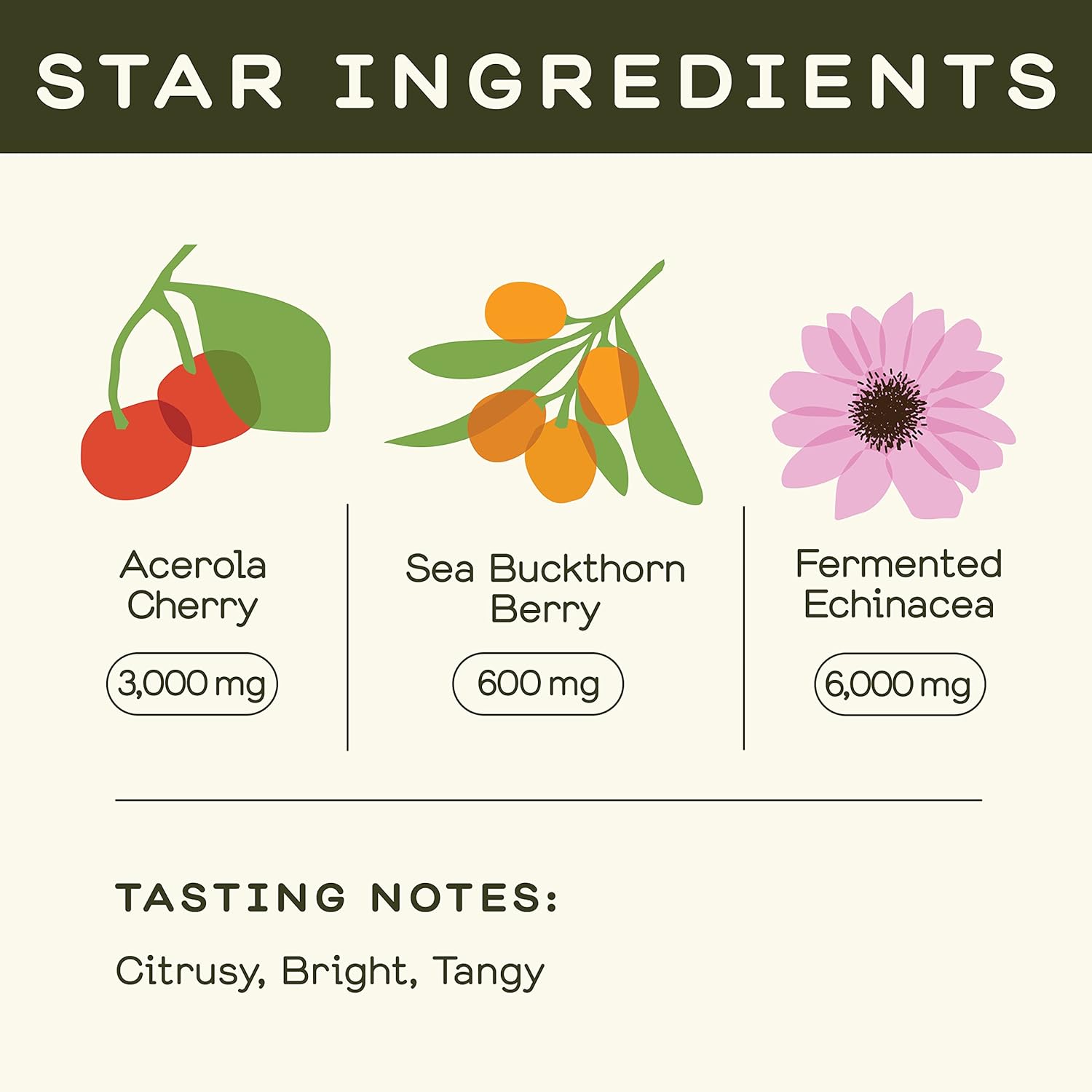 Greenhouse Juice Organic Farma-C+ Wellness Shots Vitamin C Immune Shot Cold-Pressed with Orange, Acerola Cherry, Sea Buckthorn Berry and Fermented Echinacea | Vegan & Gluten-Free (2 Oz, Pack of 12)