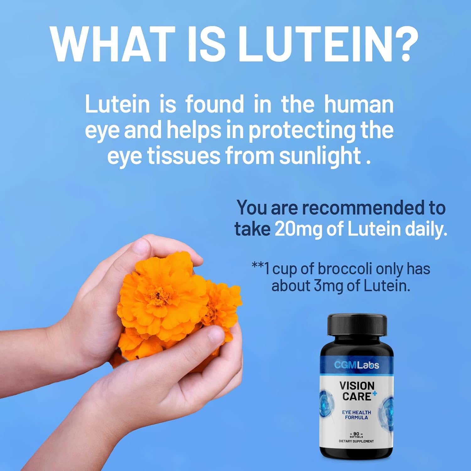 Vison Care Plus - Complete Dietary Supplement for Your Vision- Lutein 20mg, Zeaxanthin, Vitamin A, Bilberry Extract - 90 Softgels by CGM Labs
